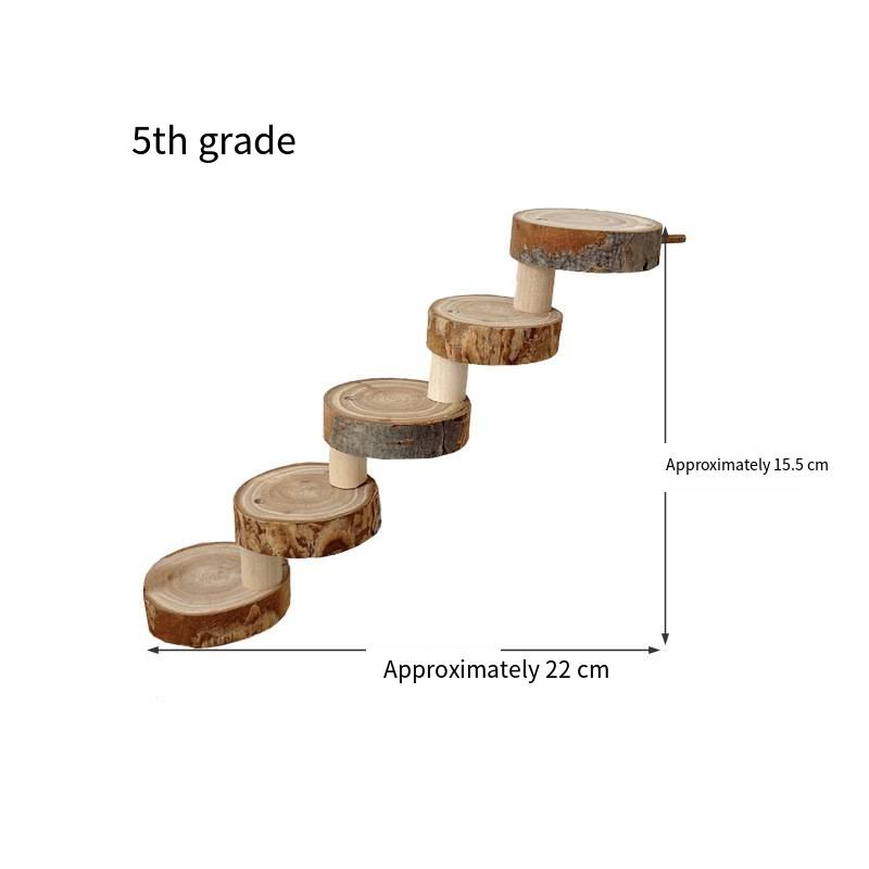 Bois robuste en 5 étapes