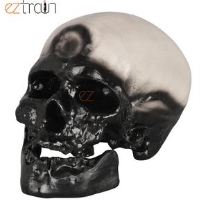 GelsonLab <strong>Human</strong> Skull Model of 8 Kinds Apeman - Product Image 3