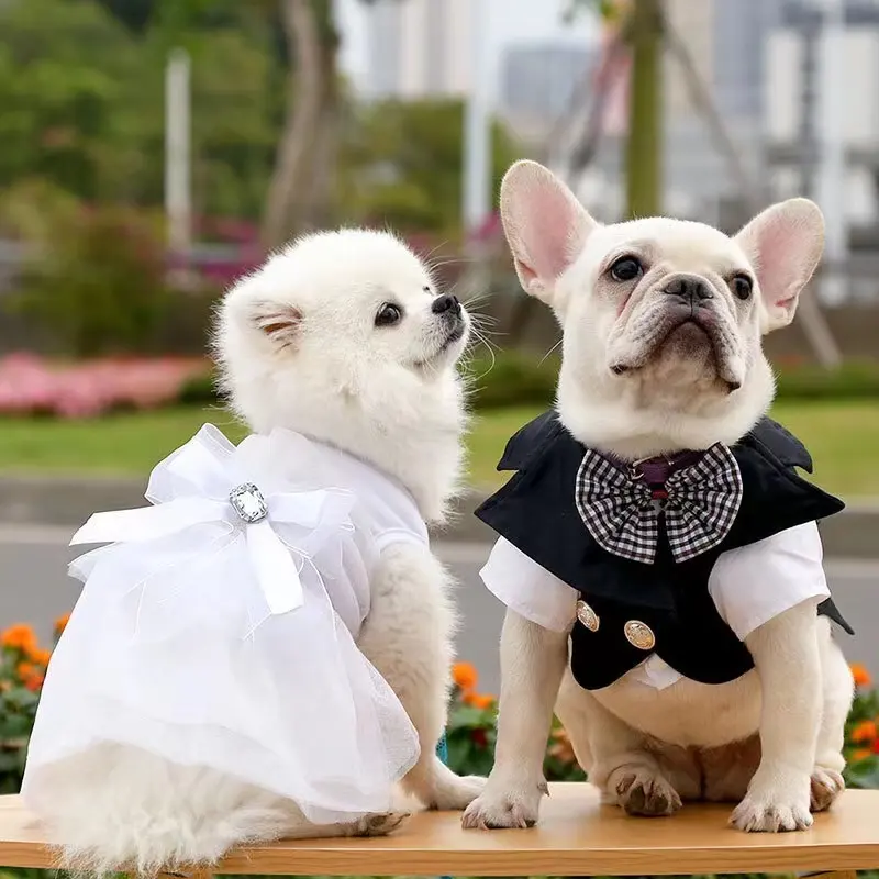 Abiti per cani per cani di piccola taglia vestiti per cani da ragazza Yorkie Chihuahua Teacup Princess Outfit Puppy Wedding Dress