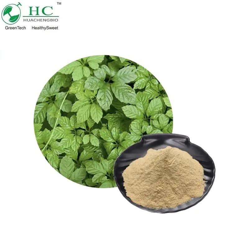 Chiết Xuất Gynostemma Chất Lượng Cao Chiết Xuất Gynostemma Pentaphyllum 80% 98%