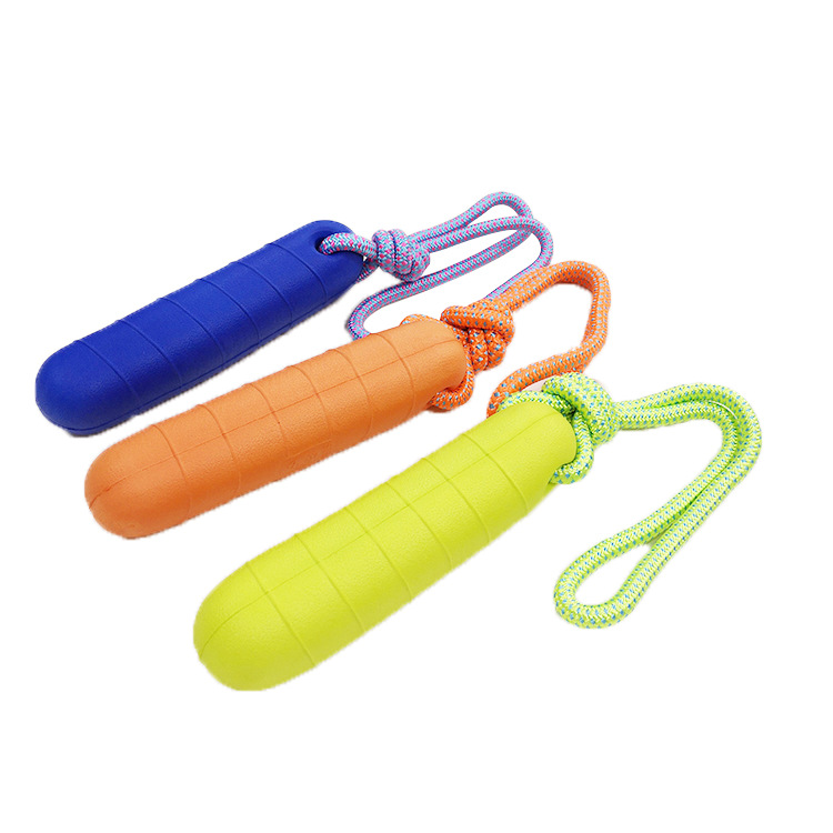 Jouets d'entraînement au lancer