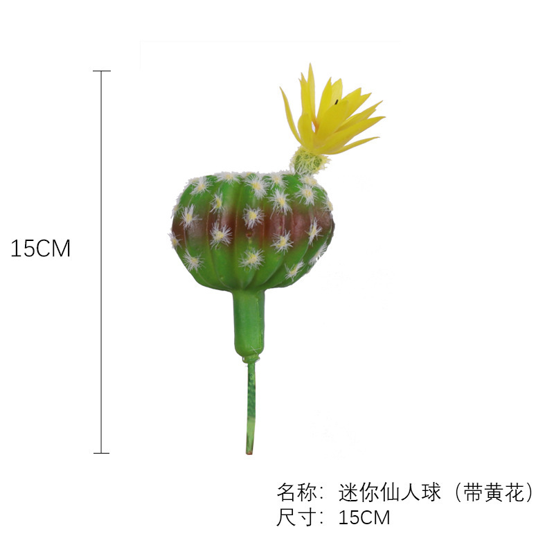 SKU-11