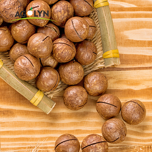 2025 cây trồng mới bán buôn Vân Nam rang hạt <span class=keywords><strong>Macadamia</strong></span> với vỏ - Product Image 4