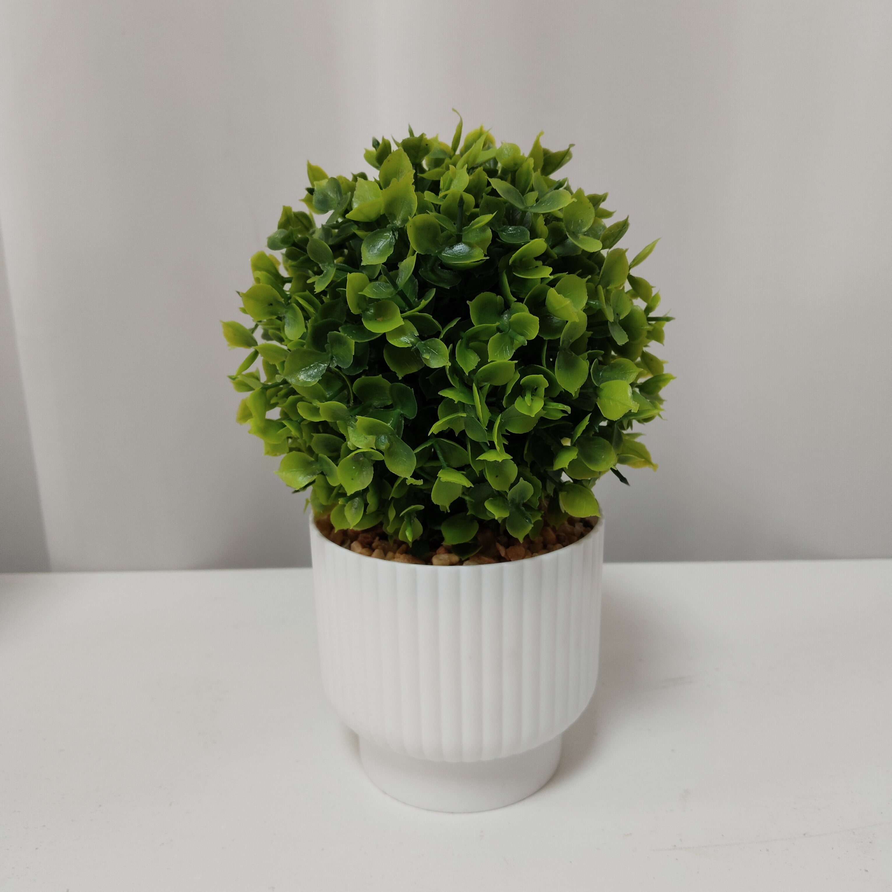 Mint