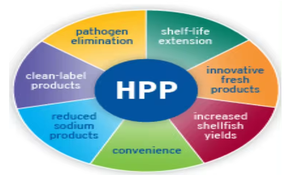 Diferentes capacidades de la máquina de esterilización de proceso de jugo de alta presión HPP