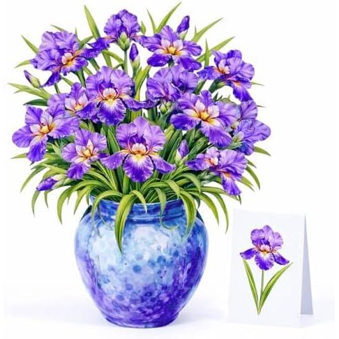 Flores de iris