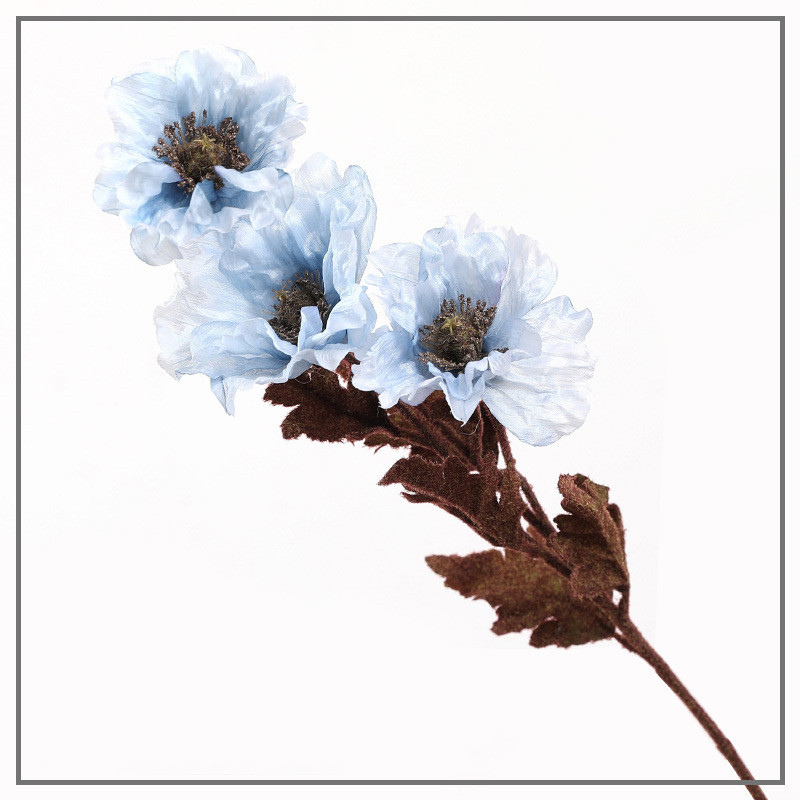 Bleu 9