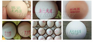 New <strong>Design</strong> Egg Printing <strong>Coding</strong> Marking Machine Egg Stamper Machine - Product Image 4