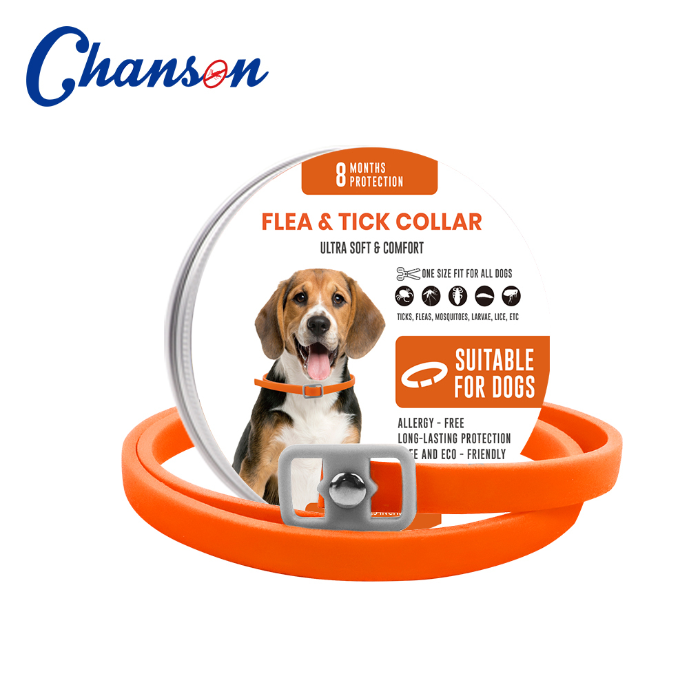 Orange Dog