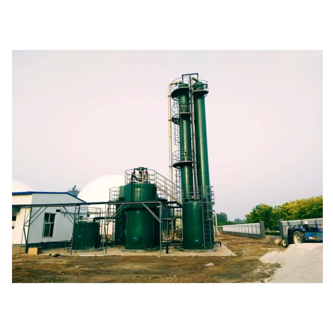La migliore vendita di Biogas H2S Scrubber stabilizzare la separazione a membrana Biogas CO2 cattura attrezzature