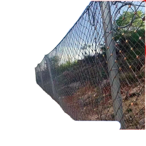 GPS2 Actief Beschermingsnet SNS Flexibel Staaldraad Krimptechniek Zeshoekige Gatvorm Hellingbeschermingsnet voor Hekwerk - Product Image 1