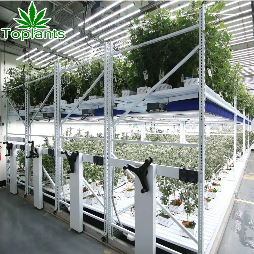 Los cultivos creciendo sistema Vertical crecer Rack interior planta bastidores