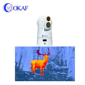 Camera PTZ Nhiệt HD 640X480 IP Tầm Nhìn Ban Đêm Tầm Nhìn Xa 1KM 2KM 3KM - Product Image 6