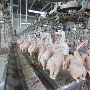 C機械ライン鶏食肉処理ライン鶏処理ラインプラント - Product Image 6