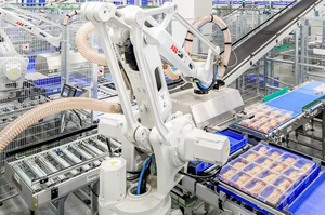 Robot automatico di alta qualità che impacchetta il sistema di applicazione di lavoro del Robot di impilamento del Robot - Product Image 6