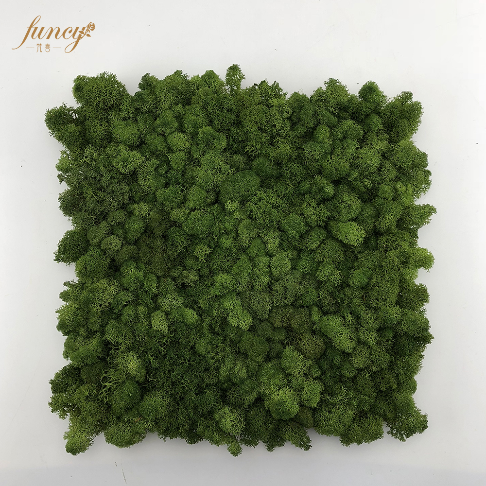 Vert forêt 3