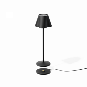 Kablosuz şarj cihazı ile şarj standı için özelleştirilmiş çok portlu kablosuz açık hava aydınlatması taşınabilir şarj edilebilir Led lamba - Product Image 4