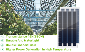 Tấm pin mặt trời bipv bán trong suốt 280W mô-đun năng lượng mặt trời hai chiều cho các dự án nông nghiệp - Product Image 4