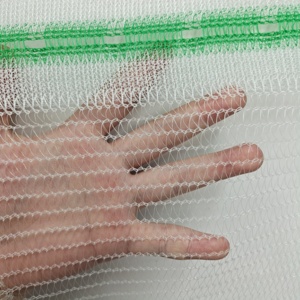 Agricultural White Hail Prevention <strong>Net</strong> Zhejiang Taizhou / Insect Anti Hail <strong>Nets</strong> 60gsm