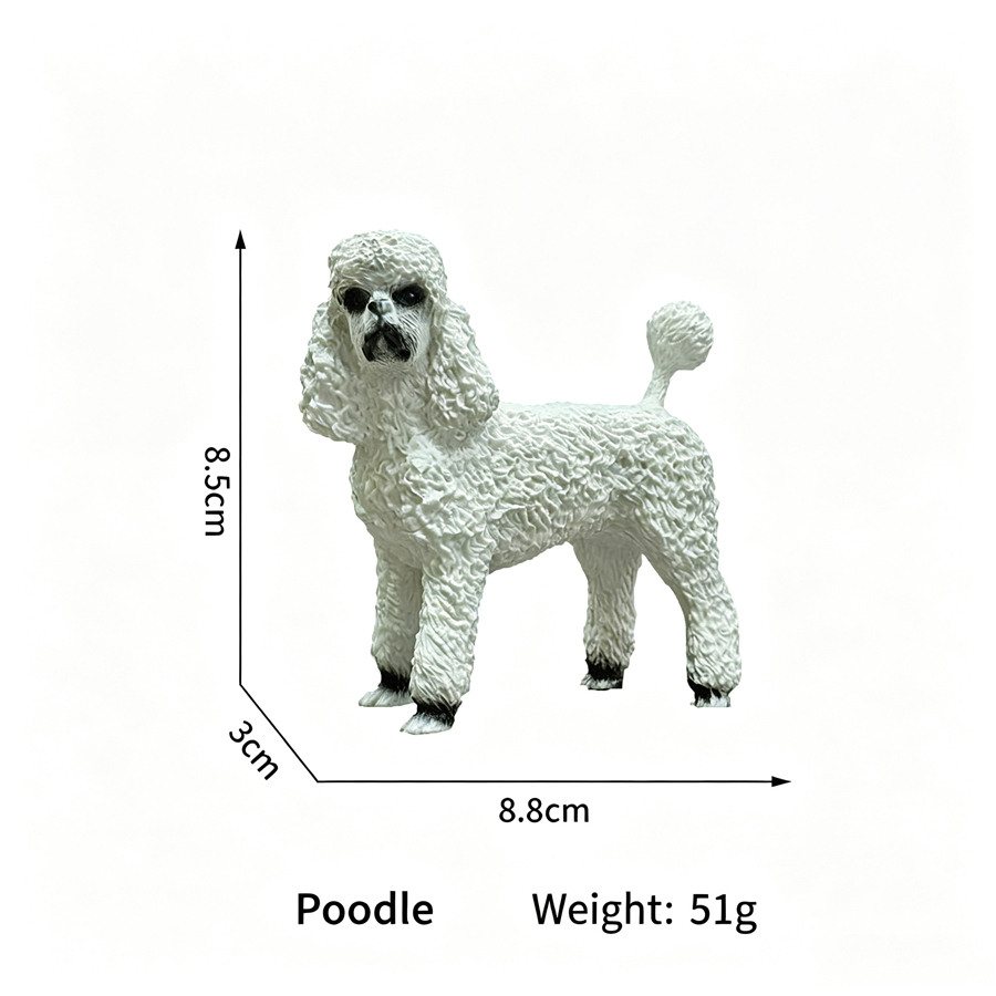 Chien haut de gamme