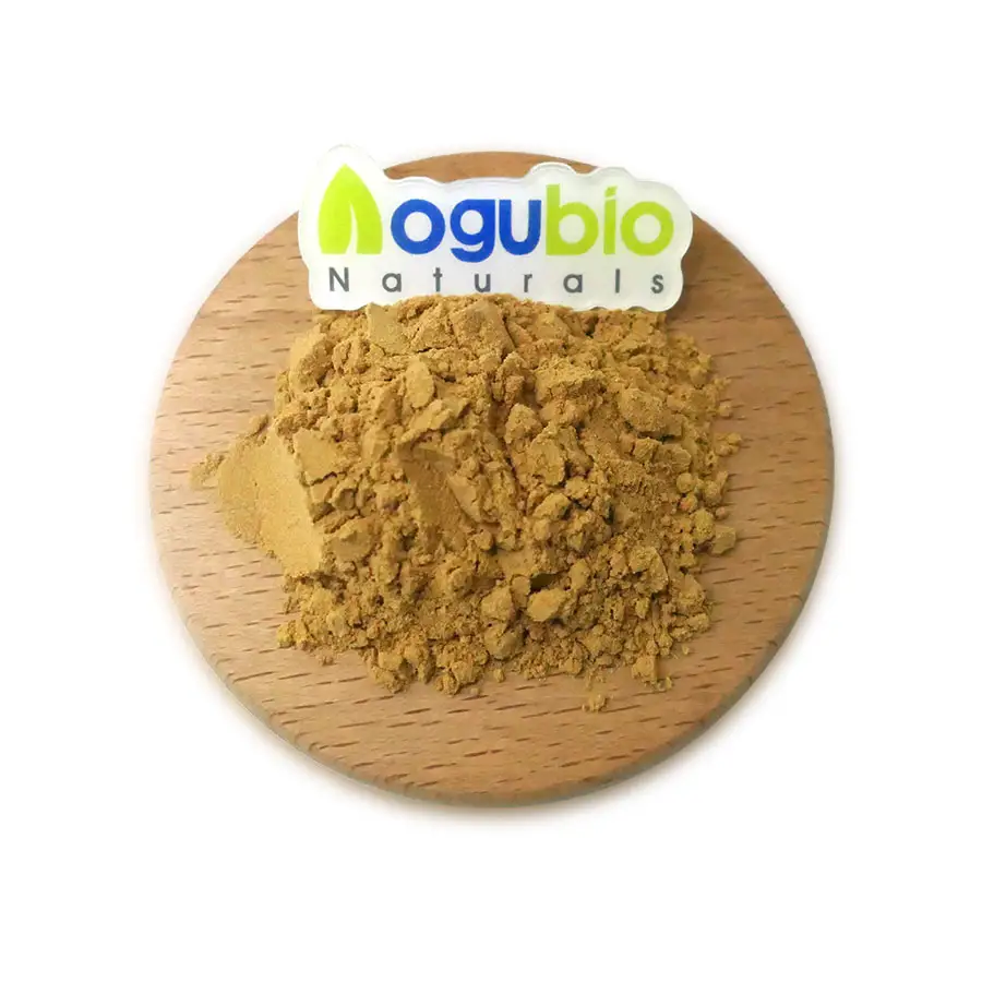 Extracto de Ginkgo Biloba de alta calidad, polvo de extracto de hoja de Ginkgo Biloba orgánico, polvo de extracto de Ginkgo biloba
