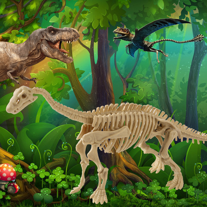 Diplodocus squelette + manuel