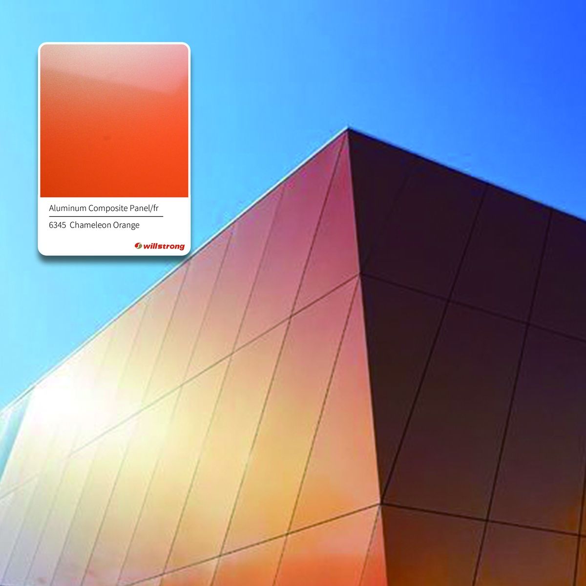 ตามที่แสดง