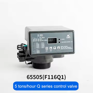 Valvola di controllo dell'addolcitore Runxin F116Q1 F116Q3 valvola di controllo automatica dell'acqua industriale valvola di controllo del filtro manuale - Product Image 2