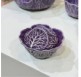 taza de guiso