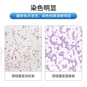 細菌学グラマステインキットの細菌型を特定するために使用される染色キット