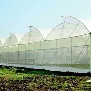 En kaliteli HDPE plastik ağ 100% yeni UV dayanıklı böcek kontrol Net tarım meyve bahçeleri ve seralar için kesilmiş boyutu - Product Image 6