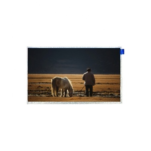 7-Zoll-Industrie-LCD-Module mit 800*480 Auflösung Touch Panel MCU 16BIT-Schnittstelle 50PIN 500cd/m2 Helligkeit TFT-Typ - Product Image 1
