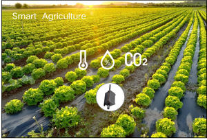 Gateway per GPS & LTE Beacon per veicoli e asset da esterno supportato da prodotti di comunicazione e Networking MQTT/HTTP/UDP - Product Image 5