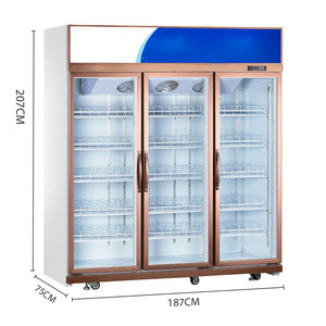 Commercial Display Refrigerator Insulated <strong>Stand-Up</strong> Beverage Cooler with Glass for Cola <strong>Chiller</strong> and Beverage Storage