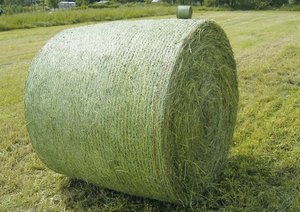Üstün çekme mukavemeti özelleştirilmiş HDPE silaj plastik ağlar dayanıklı saman balyası Wrap Net - Product Image 2