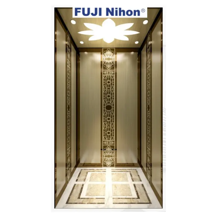 FUJI NIHON factory hot sale low price 320kg 400kg 0.4m/s mini type home Elevator