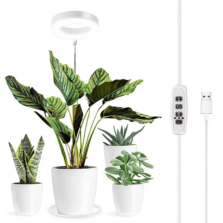 Vente en gros de plantes à LED à spectre complet, lumière de croissance pour plantes d'intérieur, pots de fleurs pliables