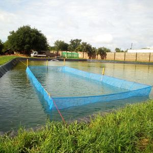 Hapa Fish NET hapa อวนขนาด10M X 2M x 1.4M - Product Image 1
