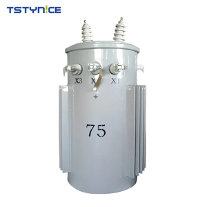 Fabrik preis Einphasen-Pol transformator 13,8 kV Eingangs spannung Ausgangs spannung mit Variationen 120V - Product Image 4