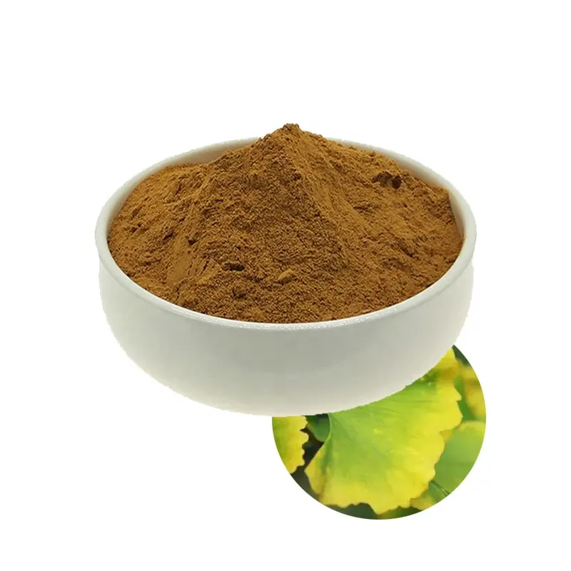 Estratto di foglie di Ginkgo Biloba vegetale a base di erbe/estratto di ginkgo Biloba in polvere estratto di foglie di Ginkgo per uso alimentare UV naturale 24% 100g