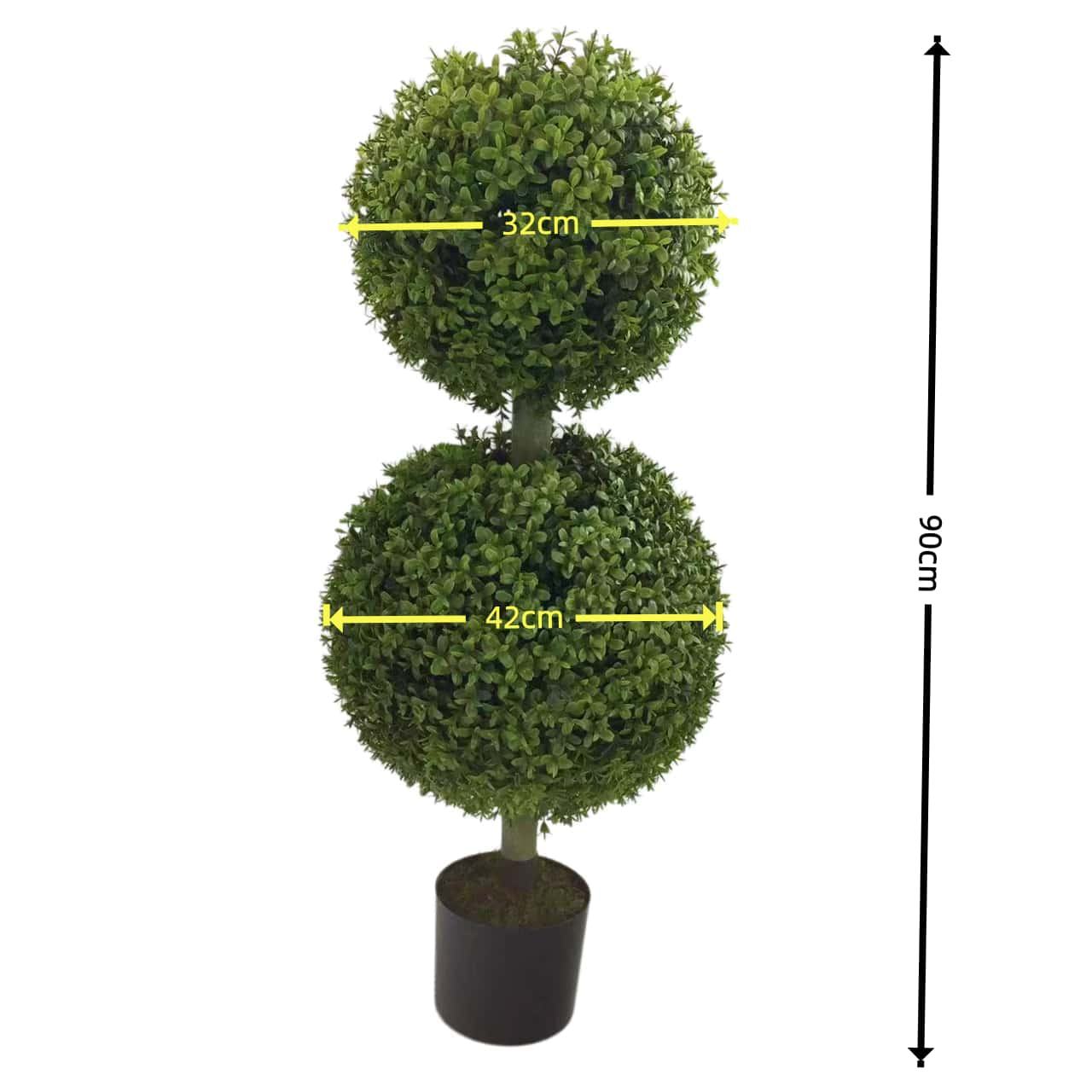 Plante en pot de feuille de buis