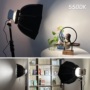 Professional 100WวิดีโอLED COBต่อเนื่อง 2700-7500พันCRI 95 + ถ่ายภาพไฟLEDสําหรับการถ่ายวิดีโอบันทึกZC-100bi