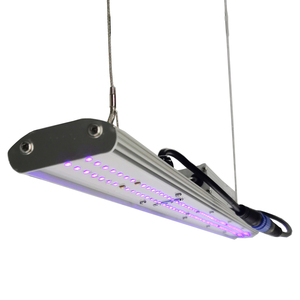 <strong>DANSE</strong> LED Manual Dimmer LED Grow <strong>Light</strong> 30W 2FT UVA Spectrum Bar <strong>Light</strong> for Planting Factory High Intensity 365nm 385nm 395mm Ac - Product Image 3