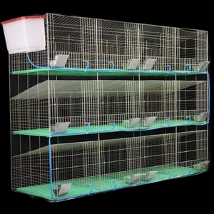 镀锌兔笼廉价商用兔笼耐用提供兔笼出售2023畅销 - Product Image 6