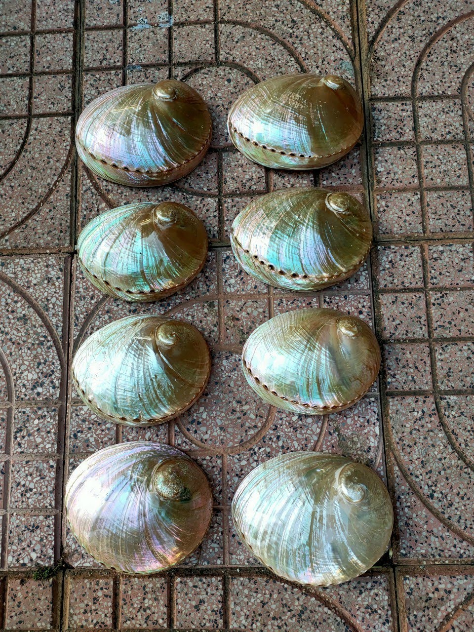 สีเขียว