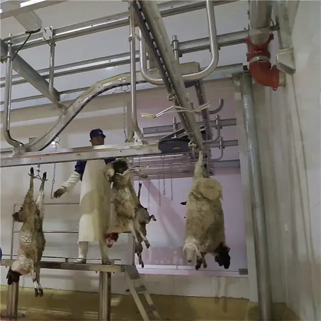 Máy Giết Mổ Cừu Hồi Giáo Cho Dê Halal Turnkey Abattoir Thực Vật