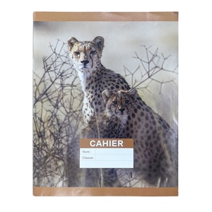 A5 fogli 100 libri di esercizi di fornitura dalla propria fabbrica bella copertina a buon mercato scuola taccuino Logo personalizzato e Design - Product Image 6