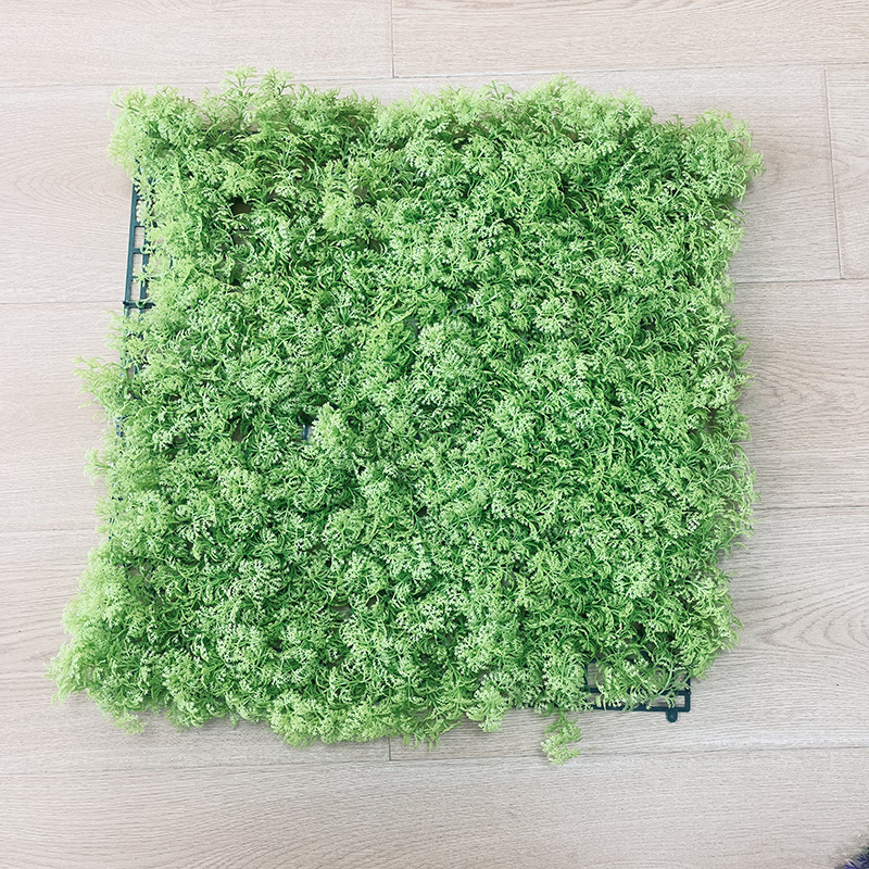 Coriander