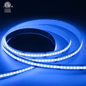 Rayrgb rgb COB 630 cips renkler değiştirilebilir esnek <span class=keywords><strong>led</strong></span> cob şerit işık 24v 12v 3000k rgbw