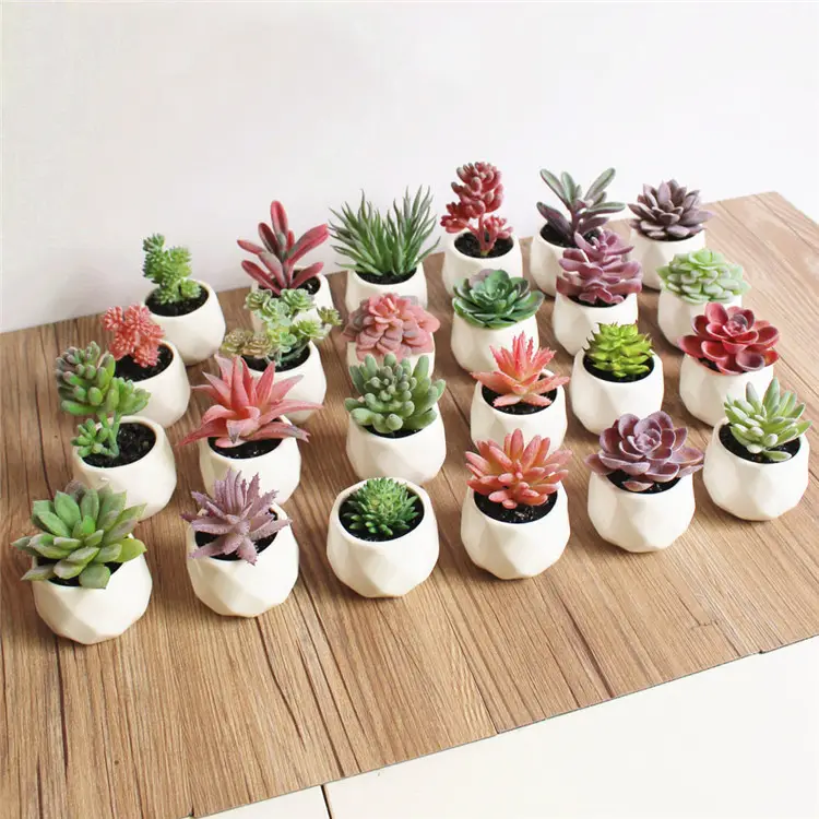 Commercio all'ingrosso di Nuovo Disegno Mini Succulente con Ceramica Vaso di Fiori Artificiali Piante Succulente